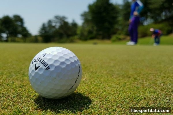立博体育深度解析：大乐透胆拖玩法核心原理与实战优势