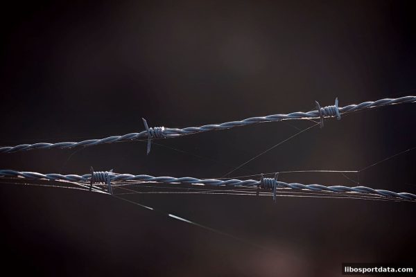 立博体育视角：游戏娱乐平台异常后的维权全攻略与实战指南